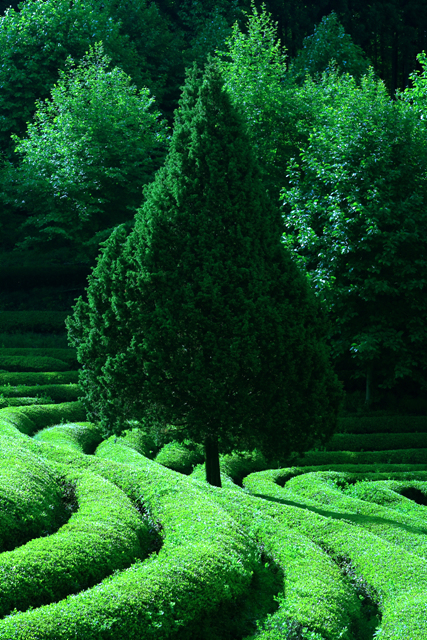 ��ó�� ���³� ����